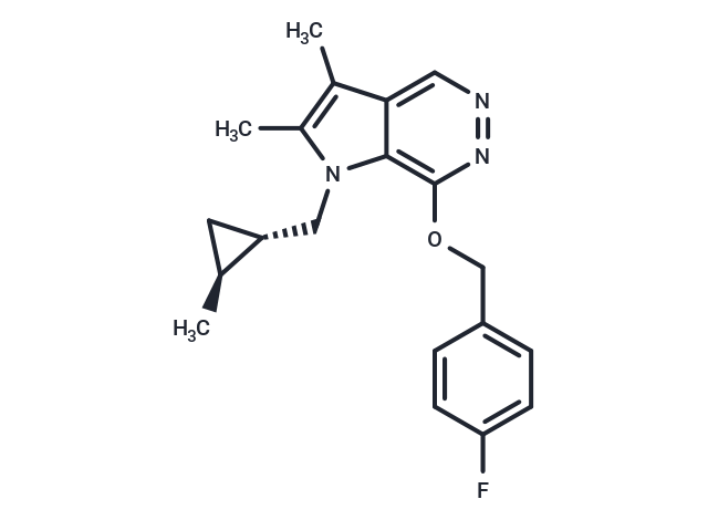 CS-526