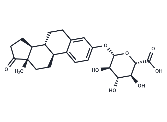 Estrone 3-glucuronide