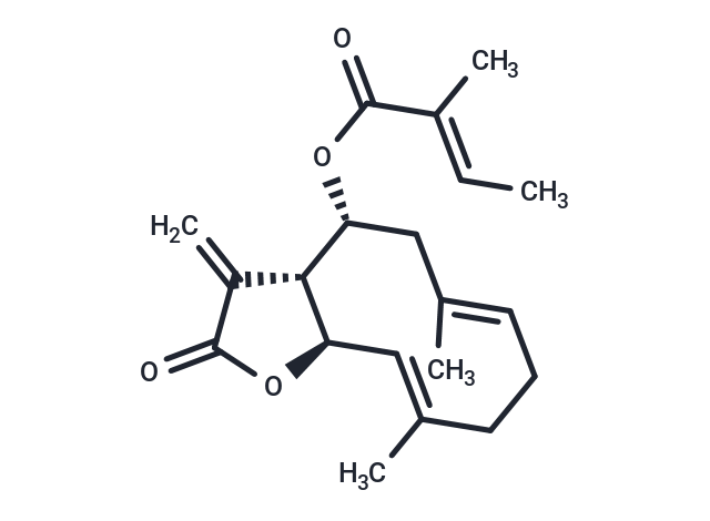 8beta-Tigloyloxycostunolide