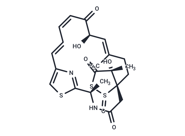 Leinamycin