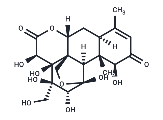 Pasakbumin D