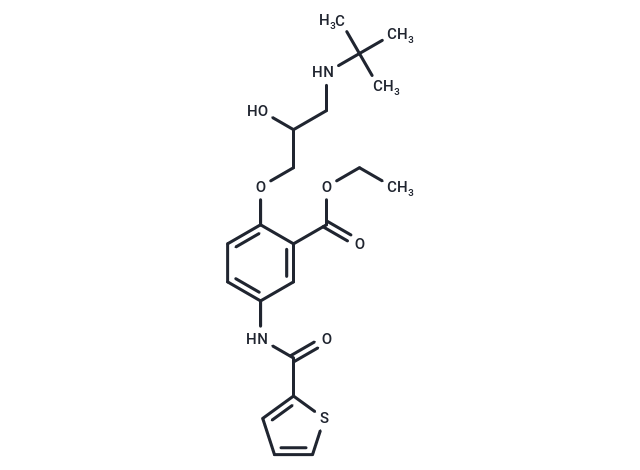 tienoxolol