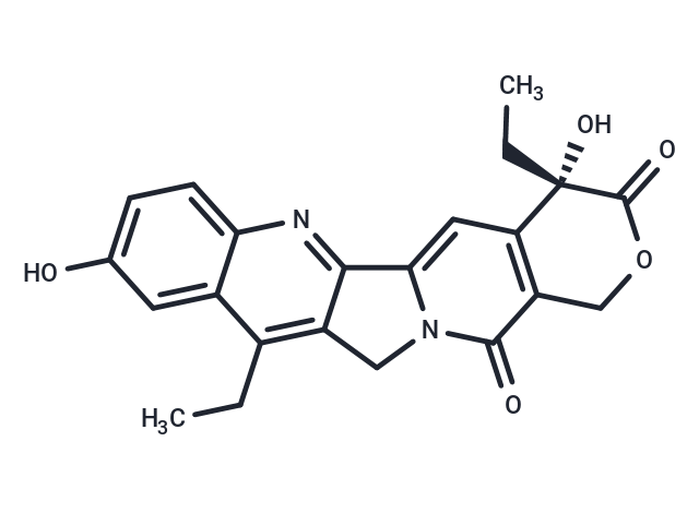 SN-38