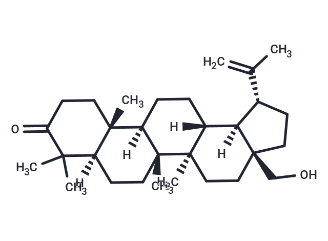 3-Oxobetulin