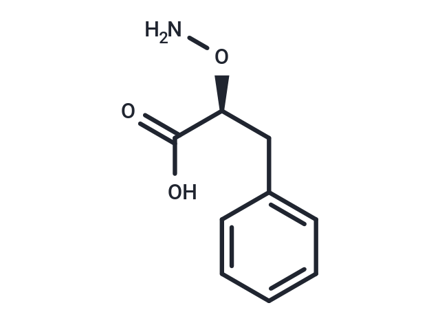 L-2-Aminooxy-3-phenylpropanoic acid