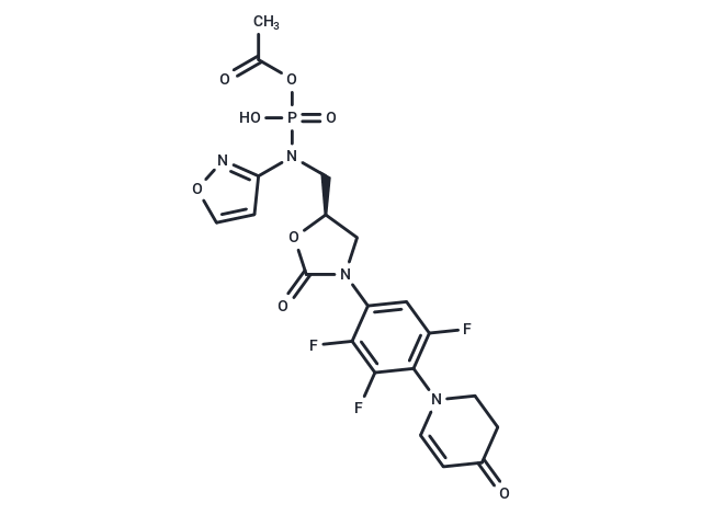 Contezolid acefosamil