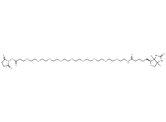 Biotin-PEG9-NHS Ester