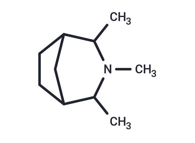 3-Azabicyclo(3.2.1)octane, N,2,4-trimethyl-