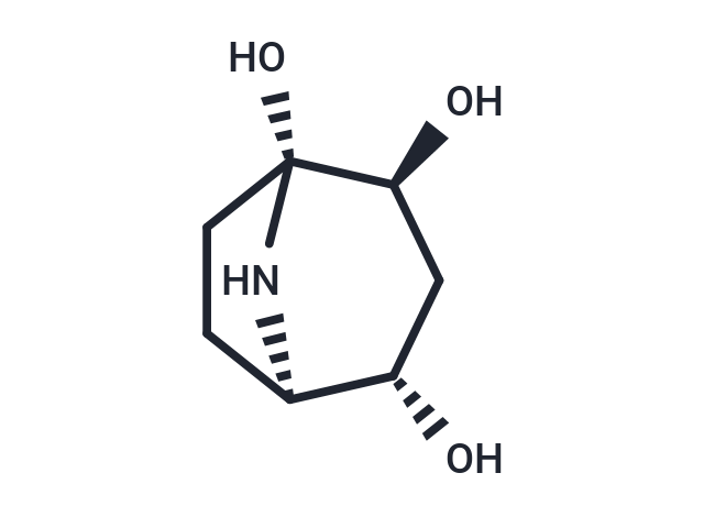 Calystegine A7