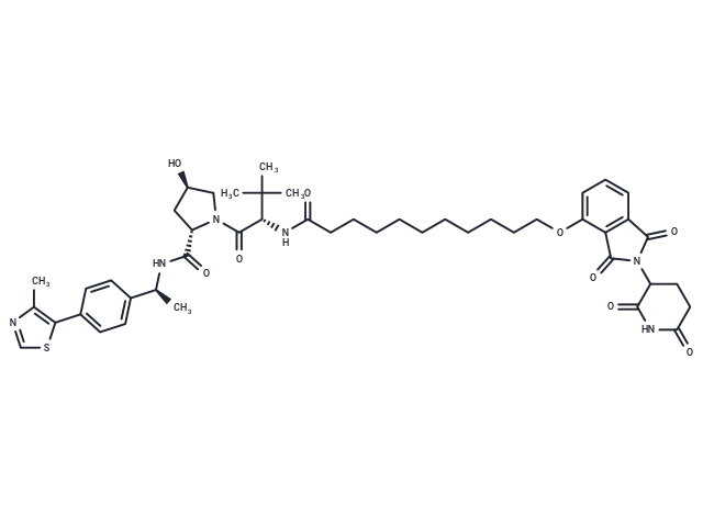 ZXH-4-137