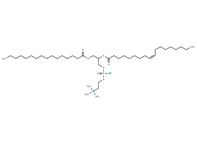 (Rac)-POPC