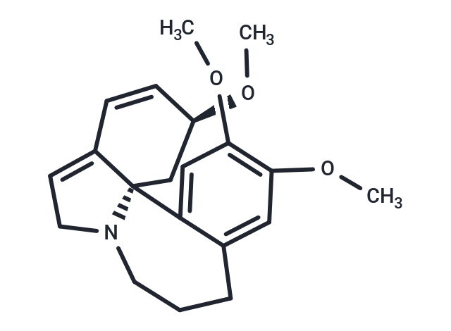 Fortuneine