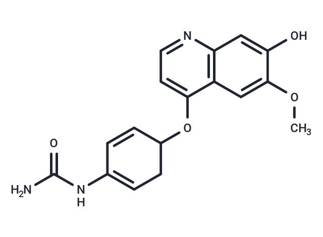 KRN383