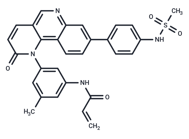 JS25