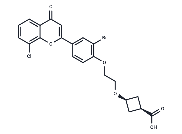 HBV-IN-30