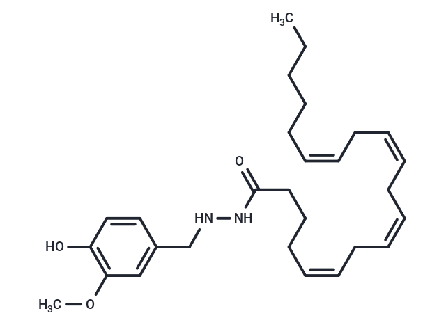 OMDM-6