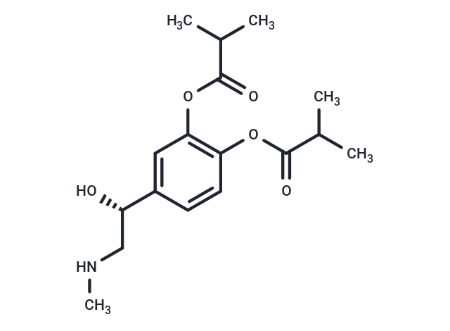 Dibutepinephrine