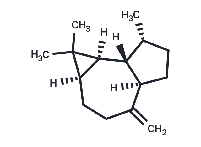 (+)-Aromadendrene