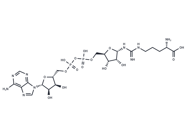 ADP-Ribosylarginine