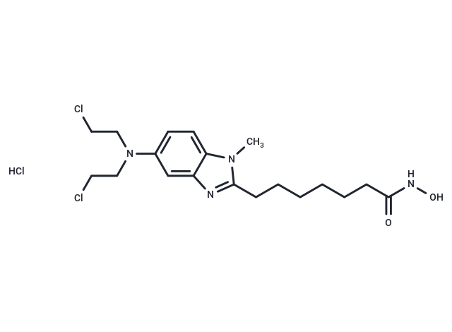 Tinostamustine HCl