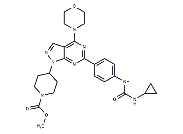 WYE-23