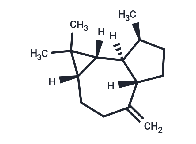 l-Aromadendrene