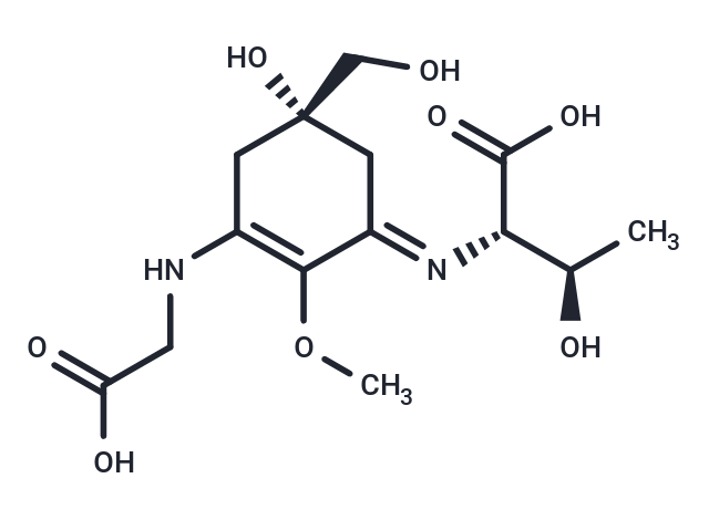 Porphyra 334