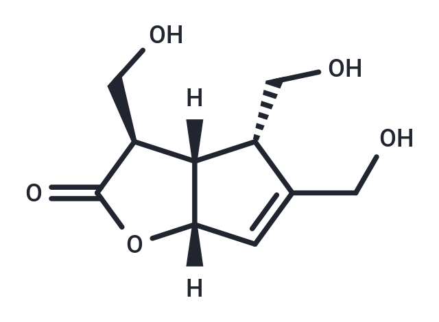 Borreriagenin