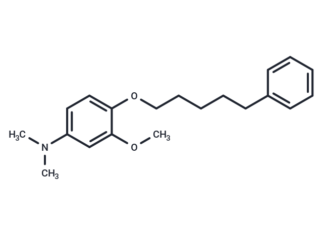 m-Anisidine, N,N-dimethyl-4-((5-phenylpentyl)oxy)-