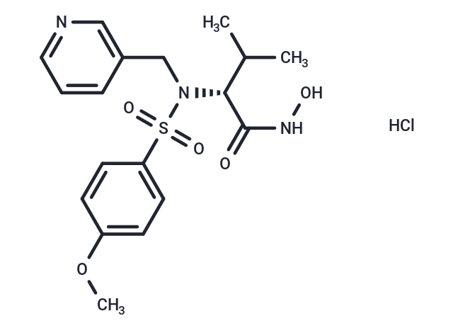 CGS 27023A