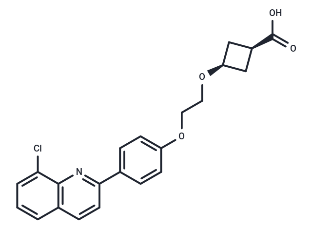 HBV-IN-16