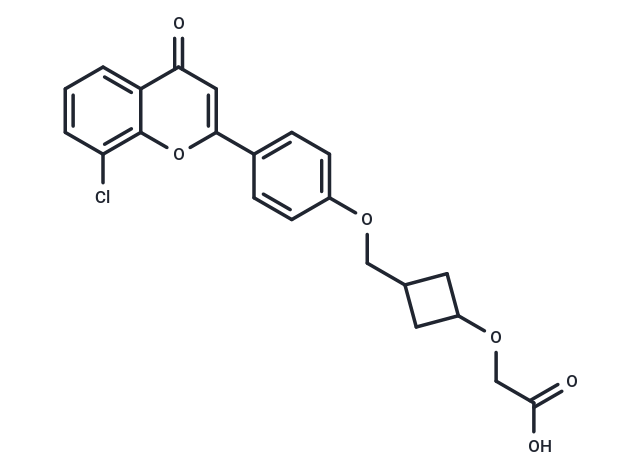 HBV-IN-29