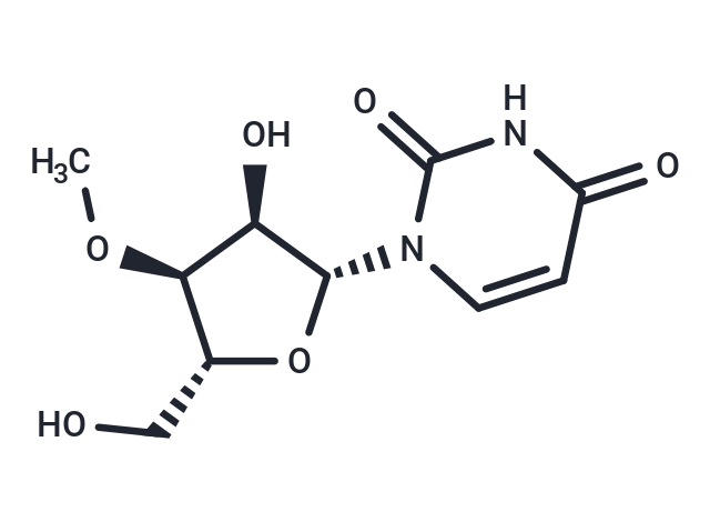 3’-O-Methyluridine