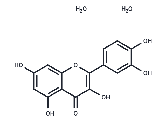 Quercetin Dihydrate