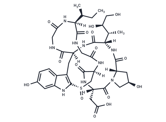 β-Amanitin