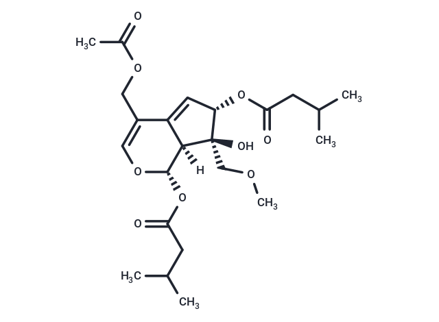 Valeriandoid F