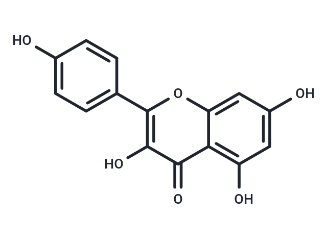 Kaempferol