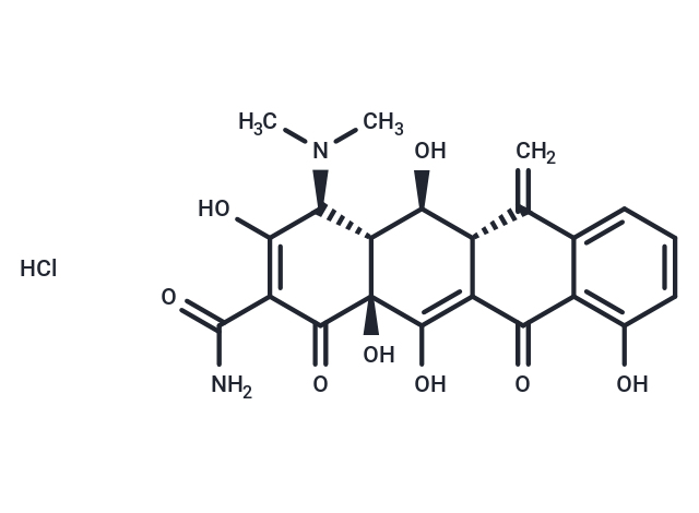 Methacycline hydrochloride