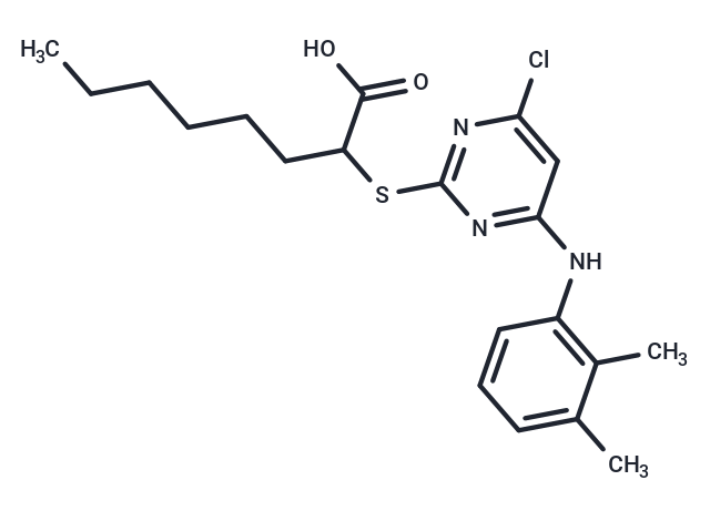 YS-121