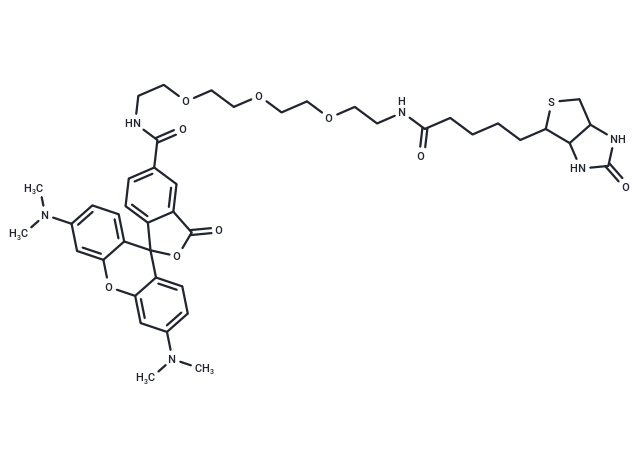 TAMRA-PEG3-biotin