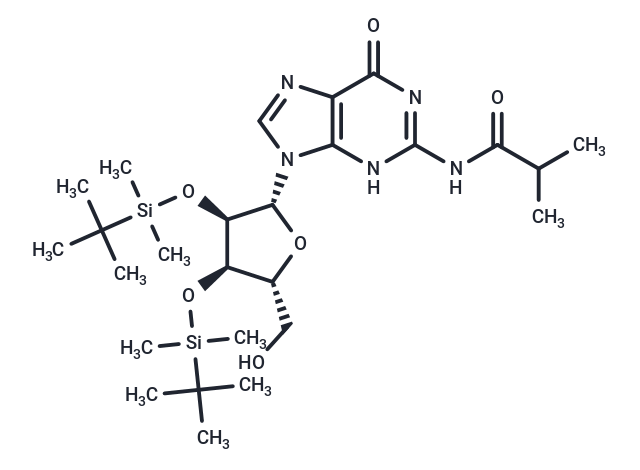 N2-iBu-2’,3’-bis-O-TBDMS   guanosine