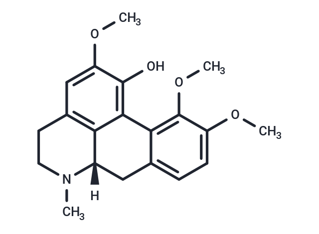 Corydine