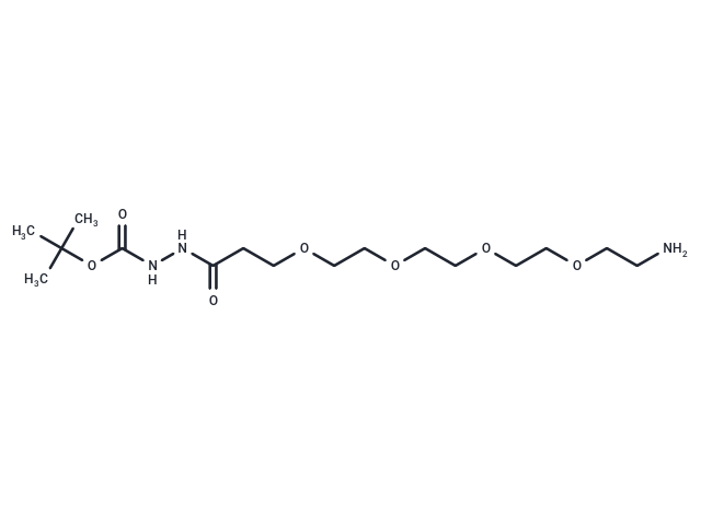 Amino-PEG4-hydrazide-Boc