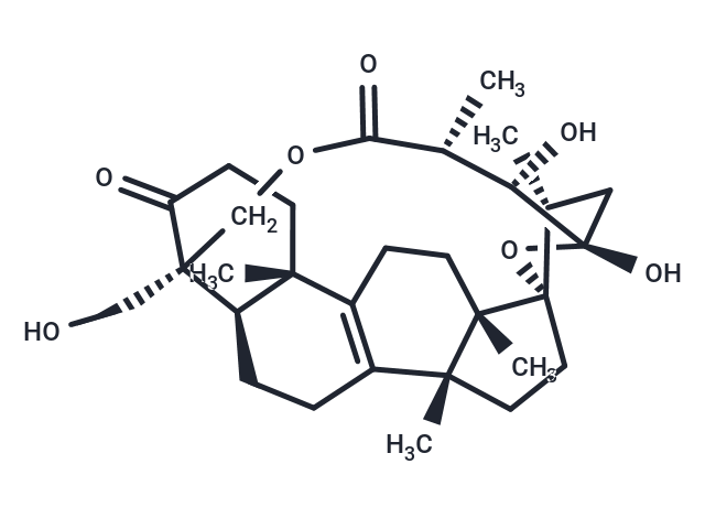 Scillascillone