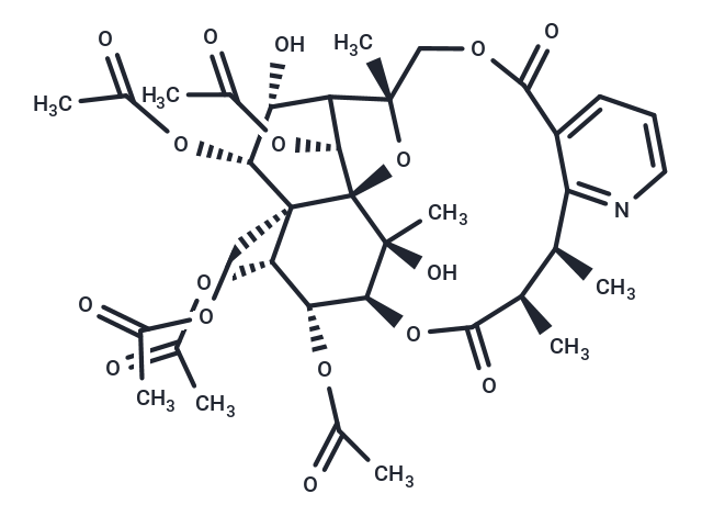 Aquifoliunine E-III