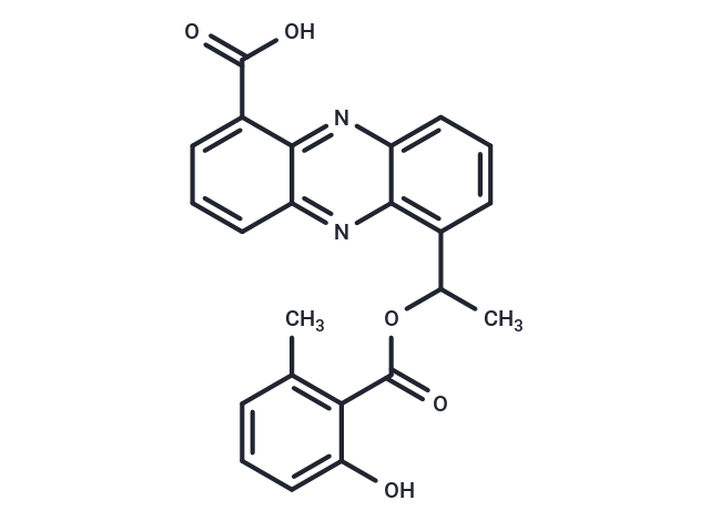 Saphenamycin