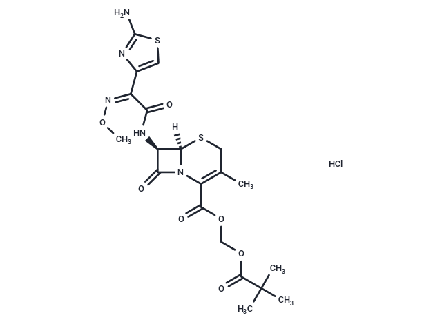 Cefetamet pivoxil hydrochloride