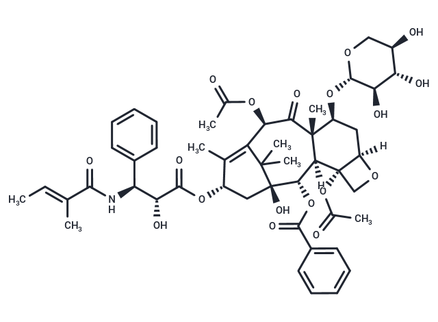 7-Xylosyltaxol B