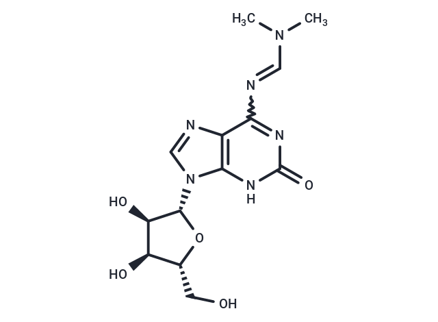 N6-Dimethylaminomethylidene isoguanosine