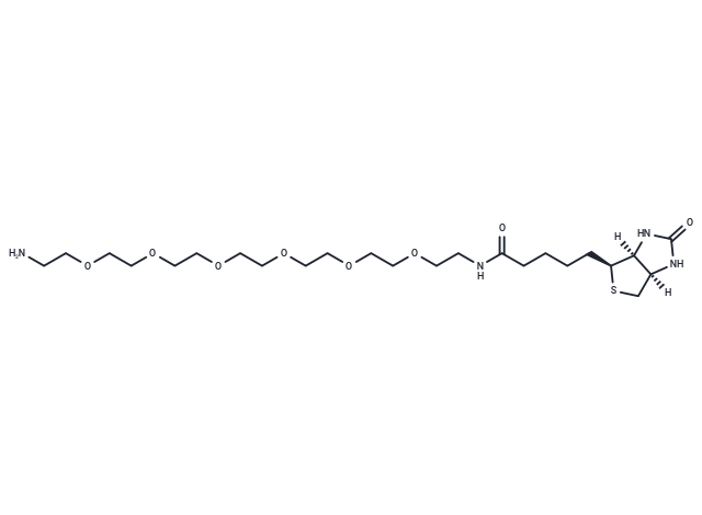 Biotin-PEG6-amine